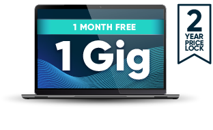 1 Gig with 2 year price guarantee 
