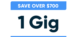 1 Gig